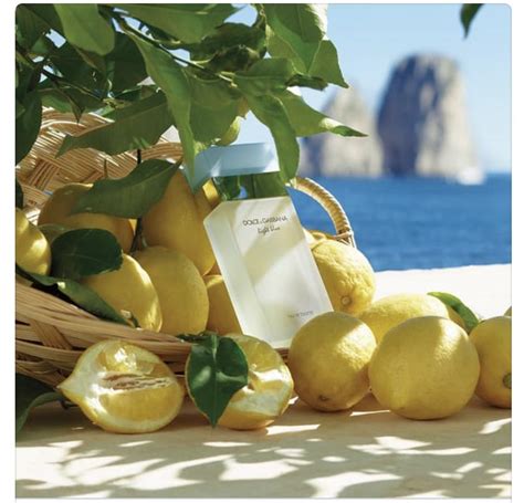 dolce gabbana lemon granny smith apple cedarwood